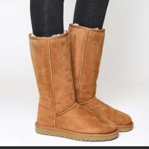 Ugg Classic Tall Boots